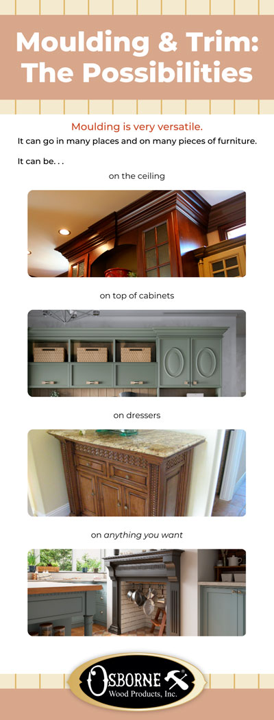 Infographic of moulding and trim options for your living space